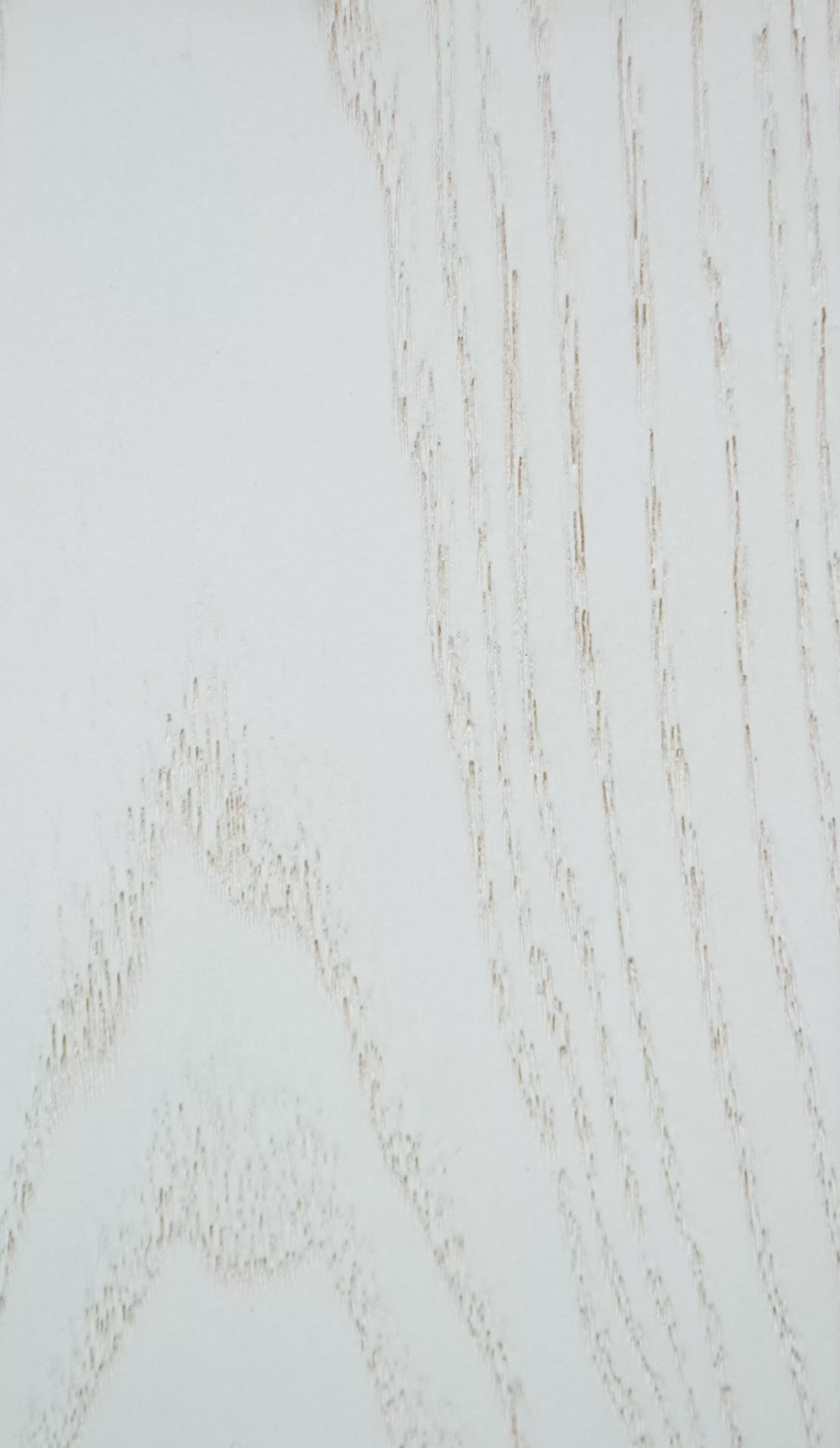 Ясень белый