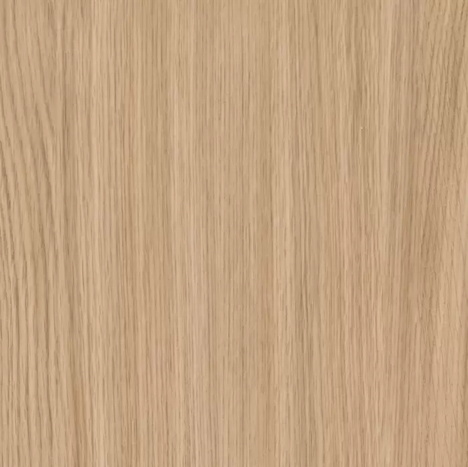 Шелковый дуб