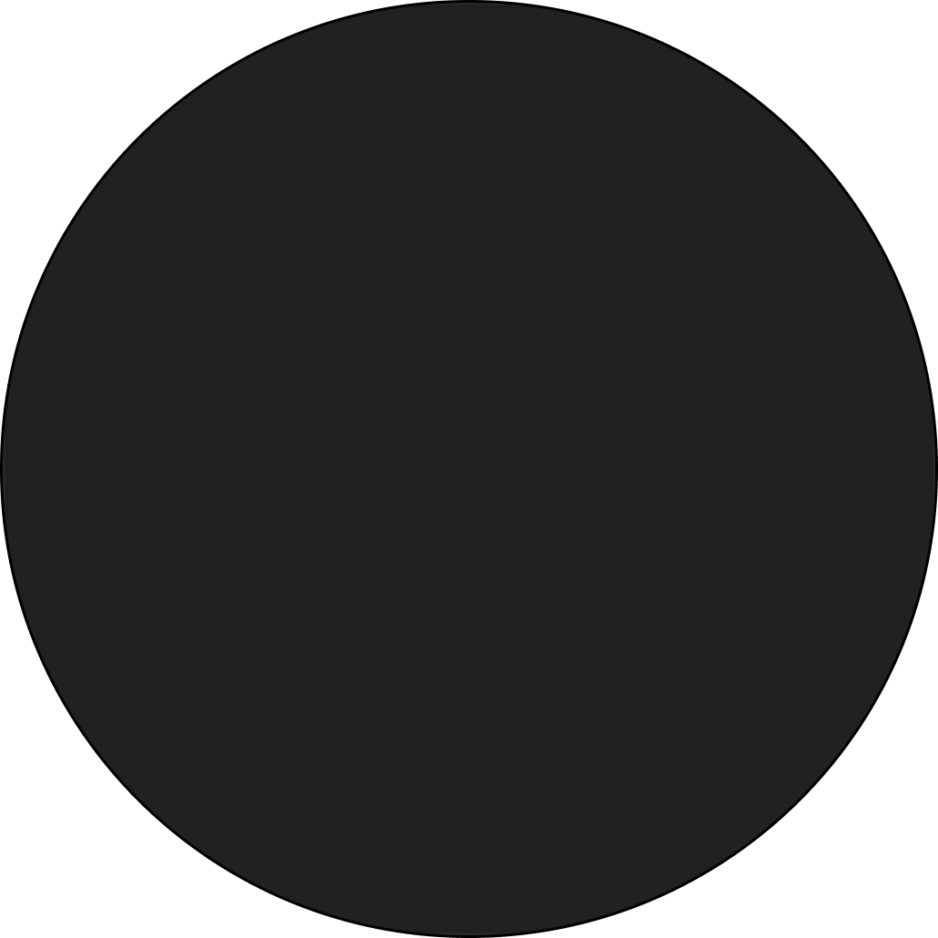 402_Chernii
